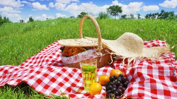 picknick